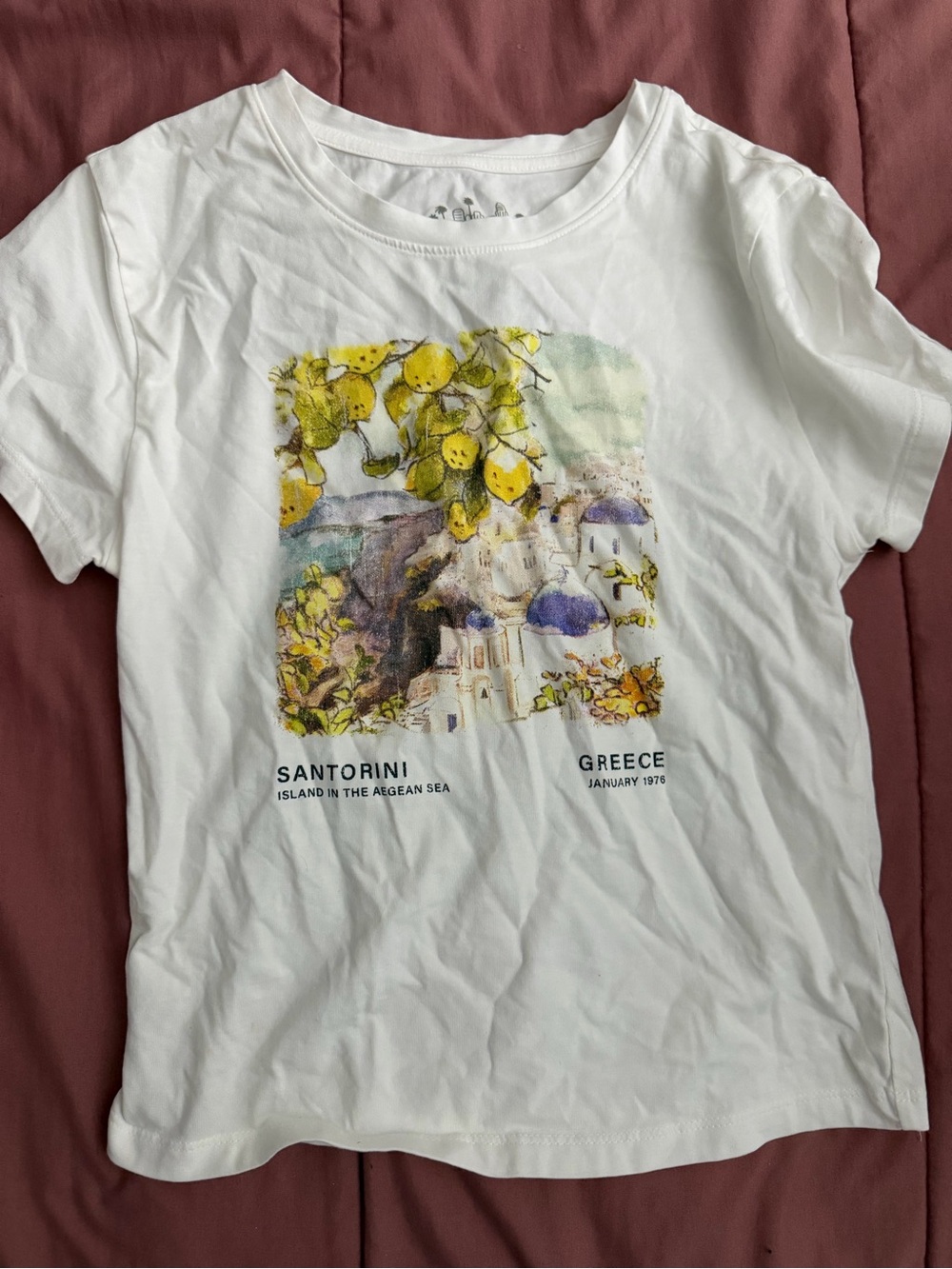 T.J.Maxx White Crop Top with Yellow Lemon & Blue Santorini Print